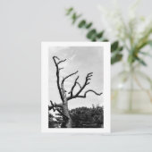freier Baum Postkarte (Stehend Vorderseite)