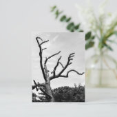 freier Baum Postkarte (Stehend Vorderseite)