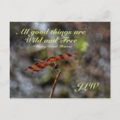 Freier Kostenvoranschlag Golden Dragonfly Fotograf Postkarte (Vorderseite)