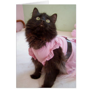 freier Raum für Mitteilung