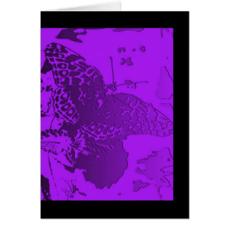 Freier Raum - Schmetterling in Lila