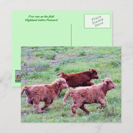Freier Run auf dem Feld Postkarte (Vorne/Hinten)