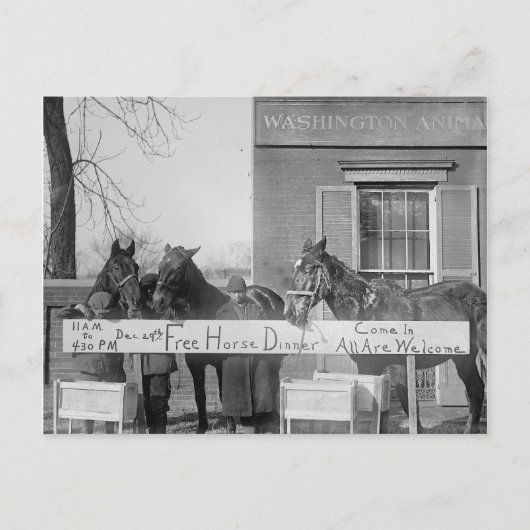 Freies Abendessen für Pferde, 1923 Postkarte (Vorderseite)