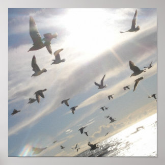 Freies Fliegen Poster