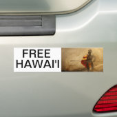 FREIES HAWAII AUTOAUFKLEBER (Auf Auto)
