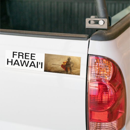 FREIES HAWAII AUTOAUFKLEBER (Auf Lkw)