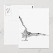 Freigezogenes Becken Postkarte (Vorne/Hinten)