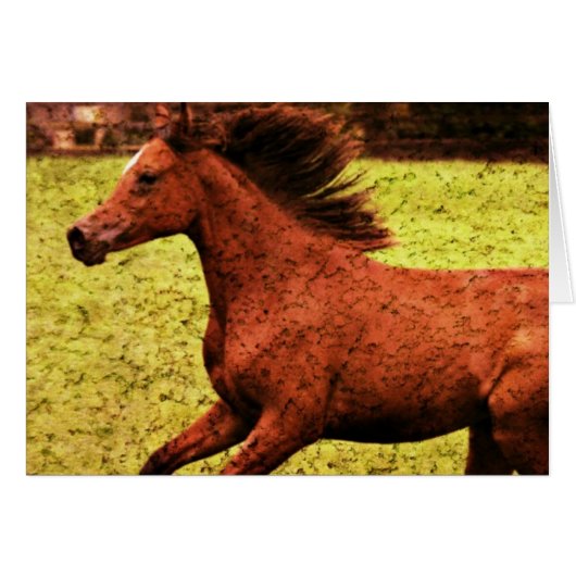 Freiheit (Vorderseite (Horizontal))