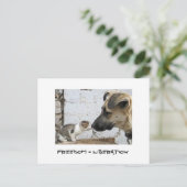 Freiheit = Befreiung Postkarte (Stehend Vorderseite)
