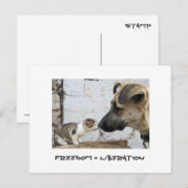 Freiheit = Befreiung Postkarte (Vorne/Hinten)