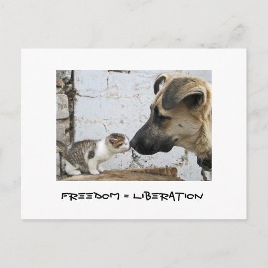 Freiheit = Befreiung Postkarte (Vorderseite)