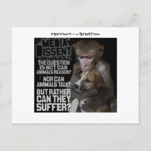 Freiheit = Befreiung Postkarte