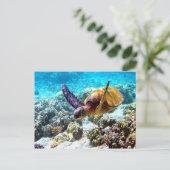 Freiheit der Hawaii-Schildkröte Frieden und Freude Postkarte (Stehend Vorderseite)
