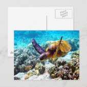 Freiheit der Hawaii-Schildkröte Frieden und Freude Postkarte (Vorne/Hinten)