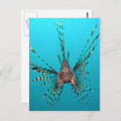 Freiheit der Seeleute - Frieden und Freude Postkarte (Vorne/Hinten)