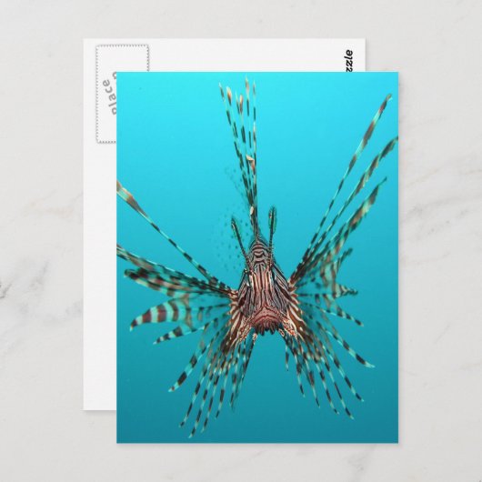 Freiheit der Seeleute - Frieden und Freude Postkarte (Vorne/Hinten)