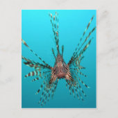 Freiheit der Seeleute - Frieden und Freude Postkarte (Vorderseite)