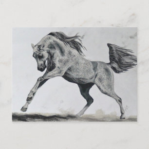 Freiheit des Geistes Postkarte