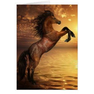 Freiheit, die wildes Pferd züchtet