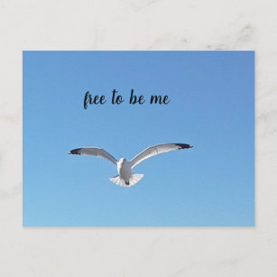 Freiheit, ein Vogel zu sein Postkarte