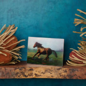 Freiheit/Freiheit Fotoplatte (Seite)