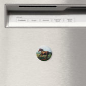 Freiheit/Freiheit Magnet (In Situ (Geschirrspüler))