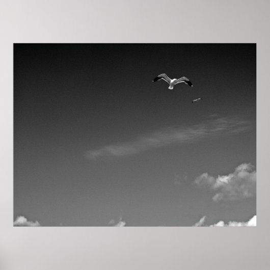 Freiheit in BW Poster (Vorne)