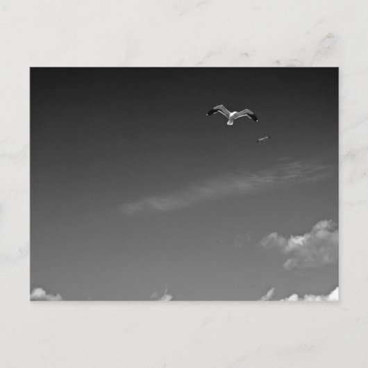 Freiheit in der Postkarte (Vorderseite)