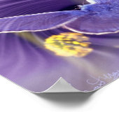 Freiheit Poster (Ecke)