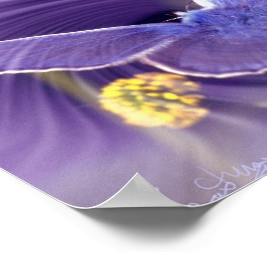 Freiheit Poster (Ecke)