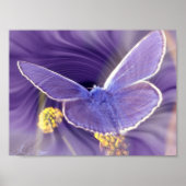 Freiheit Poster (Vorne)