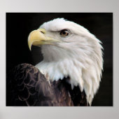 Freiheit Poster (Vorne)