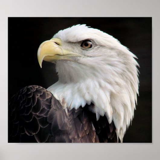 Freiheit Poster (Vorne)