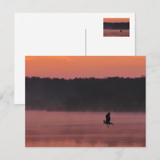 Freiheit Postkarte (Vorne/Hinten)