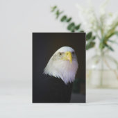 Freiheit Postkarte (Stehend Vorderseite)