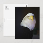 Freiheit Postkarte (Vorne/Hinten)