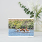 Freiheit verfolgen postkarte (Stehend Vorderseite)