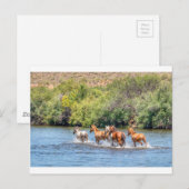 Freiheit verfolgen postkarte (Vorne/Hinten)