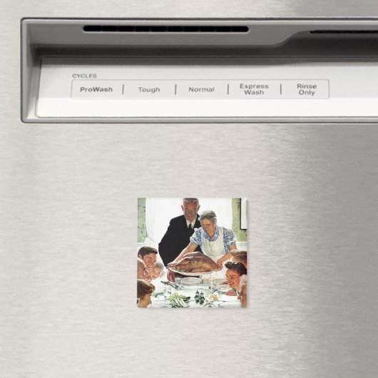 Freiheit von Woll Magnet (In Situ (Geschirrspüler))