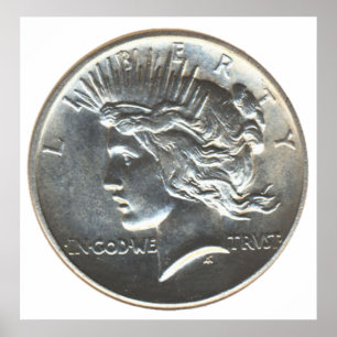 Freiheits-Dollar Poster