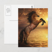 Freiheitsaufzucht Postkarte (Vorne/Hinten)