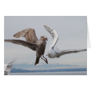 Freiheitsfischrogen 2