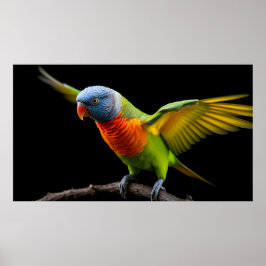 🌈 Freiheitsflug Lorikeet - Dynamischer Regenbogen Poster
