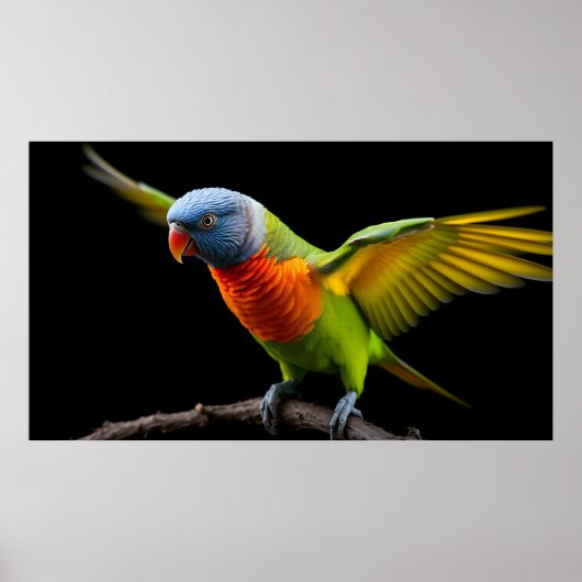 🌈 Freiheitsflug Lorikeet - Dynamischer Regenbogen Poster (Vorne)