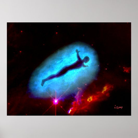 Freiheitsflug Poster (Vorne)