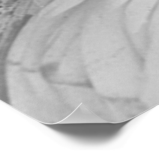 Freiheitsfotografie (1920) poster (Ecke)