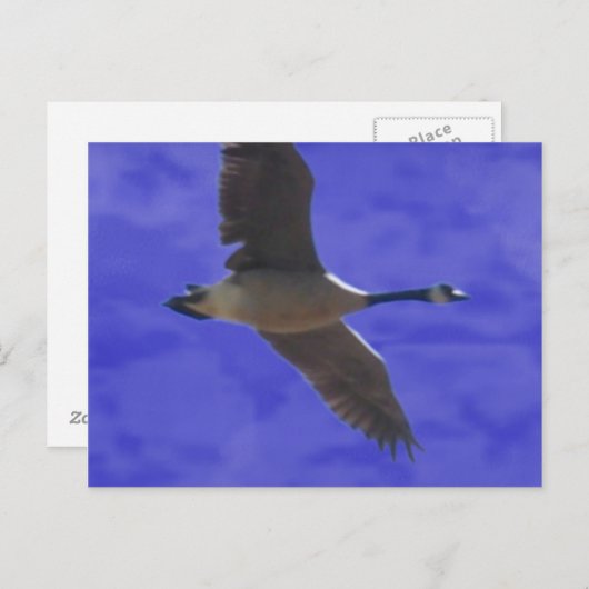 Freiheitsgespräche Postkarte (Vorne/Hinten)