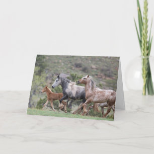 Freiheitslauf II: Galloping für Freie Gruß Karte