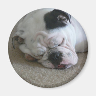 Freiheitsmagnet Magnet