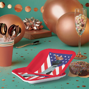 Freiheitsstatue mit amerikanischer Flagge Pappteller